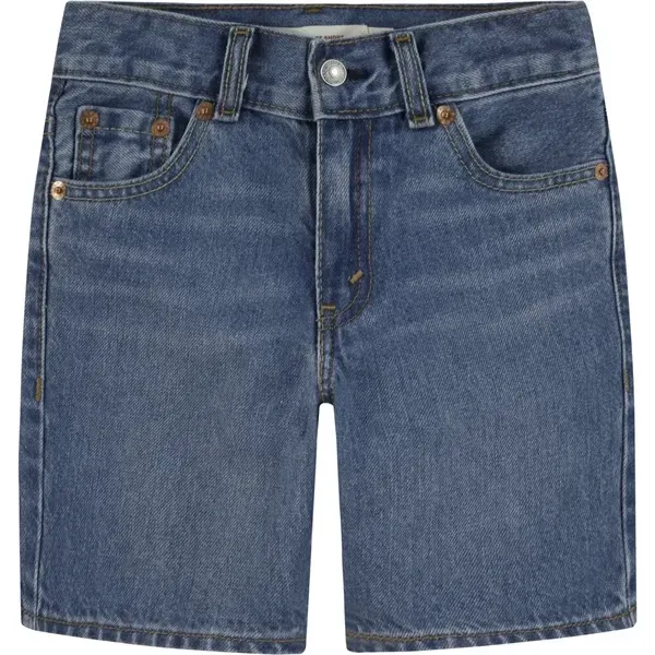 Levi's Skate Shorts Basil Sky Without Destruction