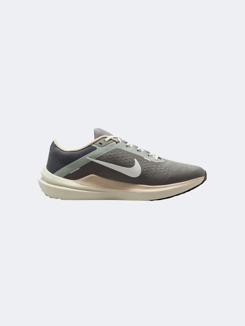 Nike Winflo 10 Spnt Men Running Shoes Pewter/Grey/Dust