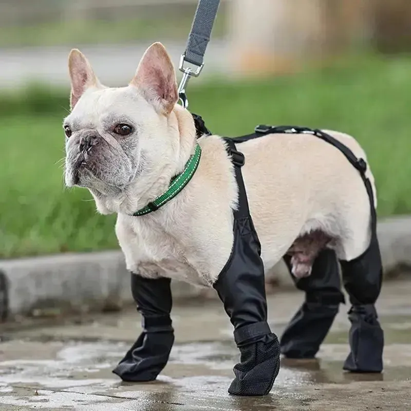 Waterproof Anti-Slip Dog Boots for Outdoor Adventures